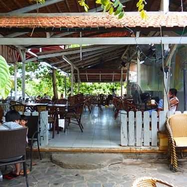 Tổng hợp- Sóng Nhạc Cafe