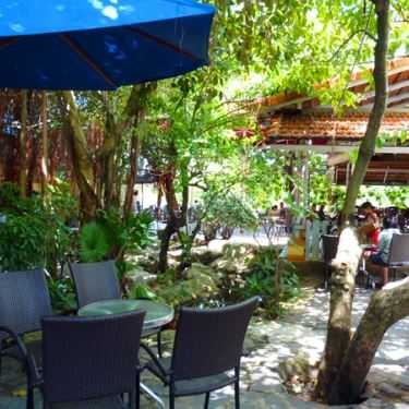 Tổng hợp- Sóng Nhạc Cafe