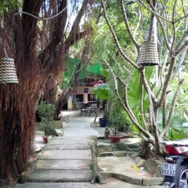 Tổng hợp- Sóng Nhạc Cafe