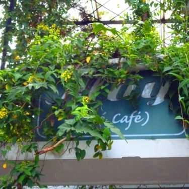 Tổng hợp- Mây Cafe - Trần Quốc Thảo