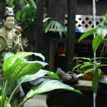 Tổng hợp- Trầm Cafe - Trần Huy Liệu