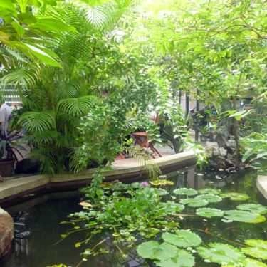 Tổng hợp- Đông Thảo Cafe