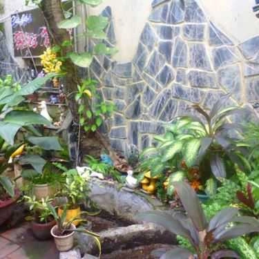 Tổng hợp- Hội Ngộ Cafe