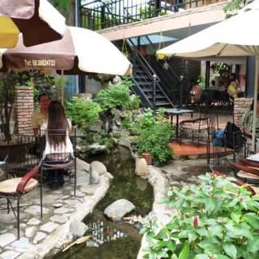 Tổng hợp- Tuấn Ngọc Cafe - Hoàng Văn Thụ