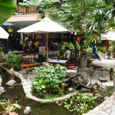 Tổng hợp- Tuấn Ngọc Cafe - Hoàng Văn Thụ
