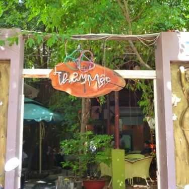 Tổng hợp- Thủy Mộc Cafe - Bình Giã