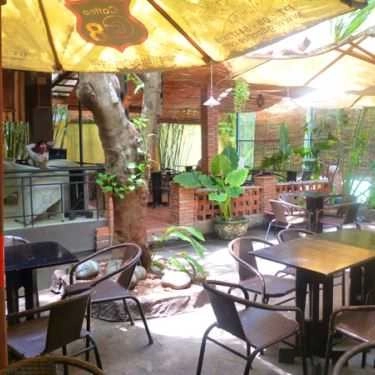 Tổng hợp- Du ca Cafe