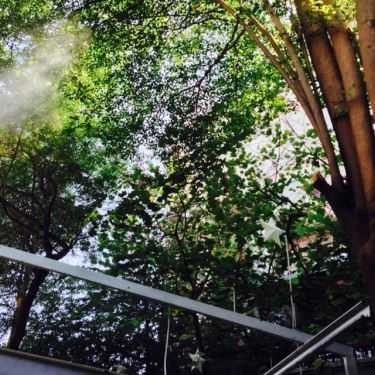 Tổng hợp- Miền Đồng Thảo Cafe