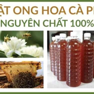 Món ăn- Shop online Sữa Bò Tươi Good Milk - Phạm Văn Hai