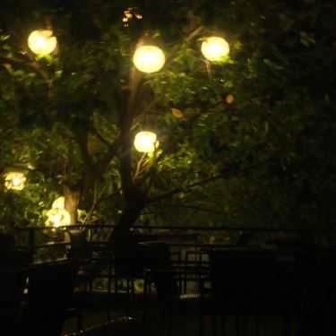 Tổng hợp- Cõi Riêng Cafe