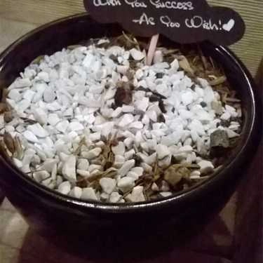 Món ăn- [a]é Cafe - Hoàng Hoa Thám