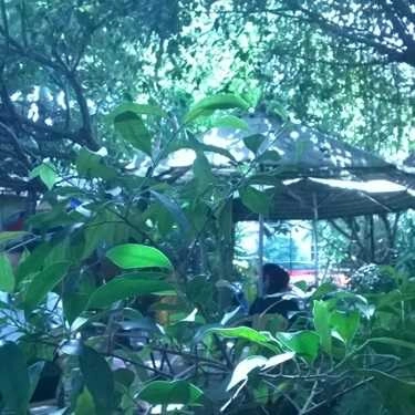 Tổng hợp- 133 Cafe - Đường 11