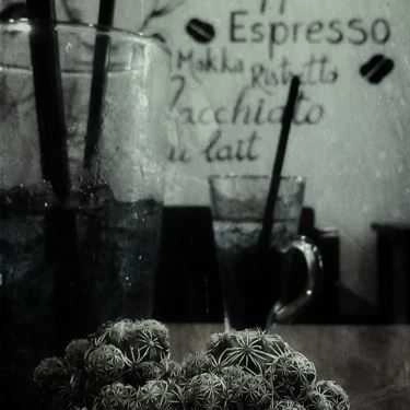 Tổng hợp- 1989 Home Coffee
