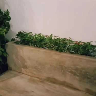 Tổng hợp- 1998 Coffee Shop