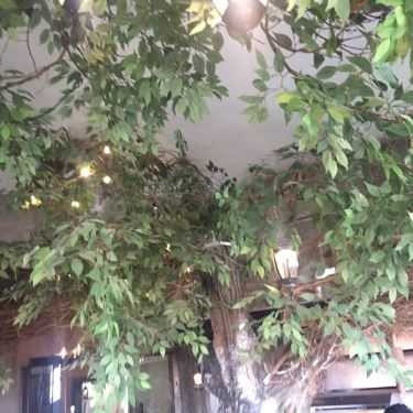 Tổng hợp- 1st. Garden - Cafe & Bistro