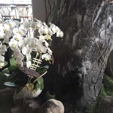 Tổng hợp- 1st. Garden - Cafe & Bistro