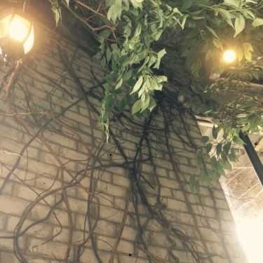 Tổng hợp- 1st. Garden - Cafe & Bistro