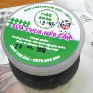Món ăn- Bánh Tráng Muối Tôm & Sữa Chua Nếp Cẩm - Shop Online