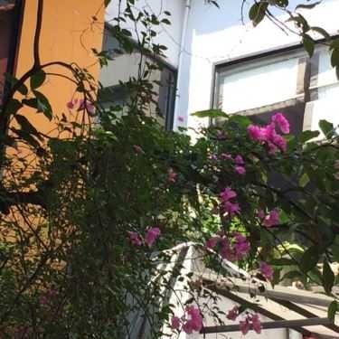 Tổng hợp- 343 Cafe - Cafe Văn Phòng
