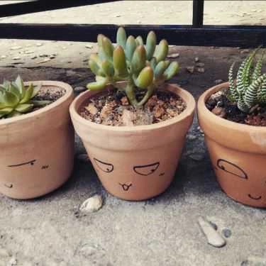 Tổng hợp- Khu Vườn Nhỏ - Little Garden - Coffee Shop