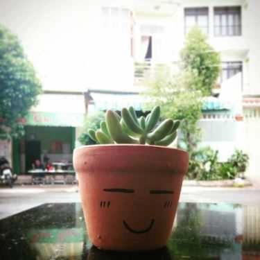 Tổng hợp- Khu Vườn Nhỏ - Little Garden - Coffee Shop
