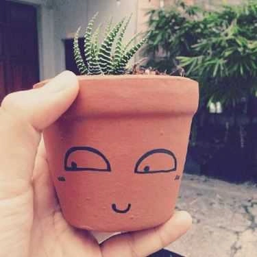 Tổng hợp- Khu Vườn Nhỏ - Little Garden - Coffee Shop