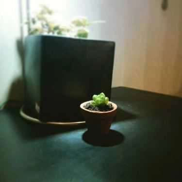 Tổng hợp- Khu Vườn Nhỏ - Little Garden - Coffee Shop