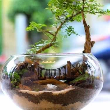 Tổng hợp- Khu Vườn Nhỏ - Little Garden - Coffee Shop
