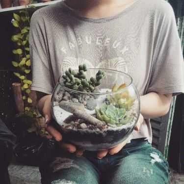 Tổng hợp- Khu Vườn Nhỏ - Little Garden - Coffee Shop