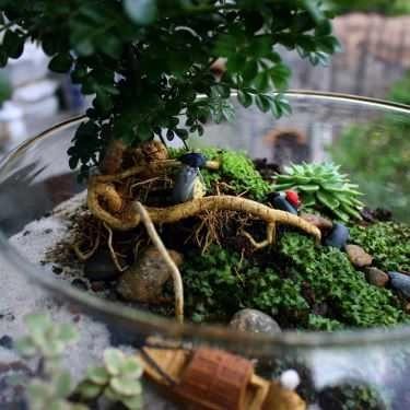 Tổng hợp- Khu Vườn Nhỏ - Little Garden - Coffee Shop
