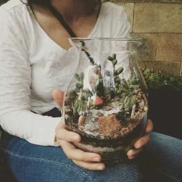 Tổng hợp- Khu Vườn Nhỏ - Little Garden - Coffee Shop