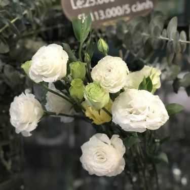 Tổng hợp- Cafe 38 Flower Market & Tea House - Xa Lộ Hà Nội