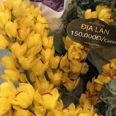 Tổng hợp- Cafe 38 Flower Market & Tea House - Xa Lộ Hà Nội