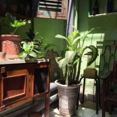 Tổng hợp- Cửa Hàng Cafe 81