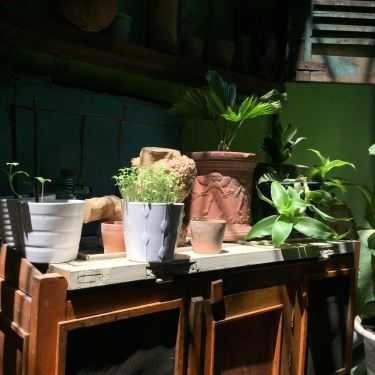 Tổng hợp- Cửa Hàng Cafe 81