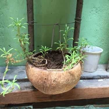 Tổng hợp- Cửa Hàng Cafe 81