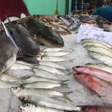 Tổng hợp- Quán Nhậu Lagi Quán - Lẩu & Nướng Hải Sản