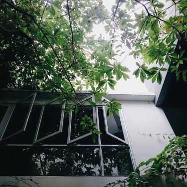 Tổng hợp- A5 Cafe - Nguyễn Thái Bình