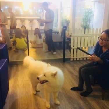 Tổng hợp- Alas - Pets & Garden Coffee