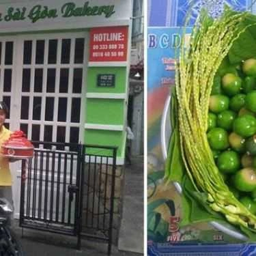 Tổng hợp- Shop online Châu Sài Gòn - Bánh Trái Cây Đậu Xanh