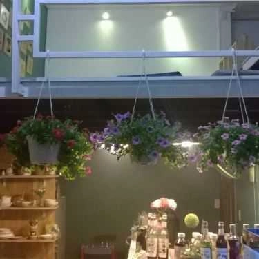 Không gian- Chút Lạ Cafe