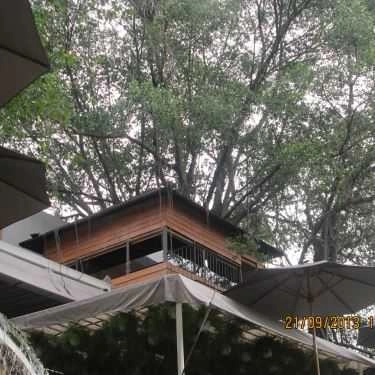 Tổng hợp- Du Miên Garden Cafe - Phan Văn Trị