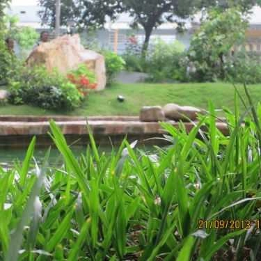 Tổng hợp- Du Miên Garden Cafe - Phan Văn Trị