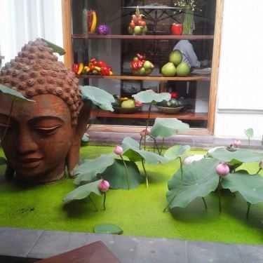 Tổng hợp- Quán Ăn Hum Vegetarian - Café & Restaurant