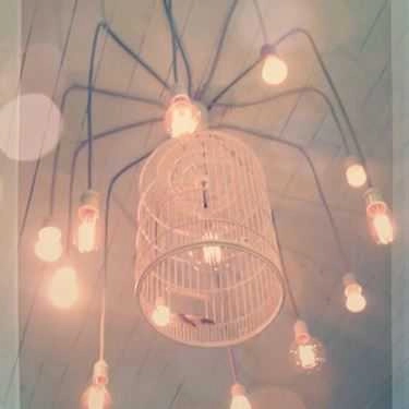 Tổng hợp- Koneko Cafe - Nguyễn Gia Trí