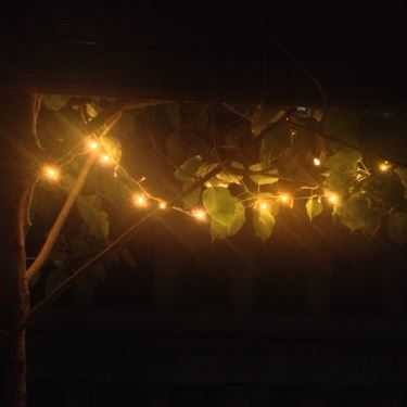 Tổng hợp- MockingBird Cafe
