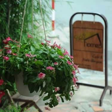 Tổng hợp- The Homes - Cafe Và Nước Dân Gian - Bình Thạnh