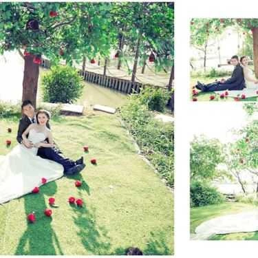 Tổng hợp- Chụp hình cưới Suri Wedding Studio - Trương Vĩnh Ký