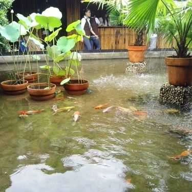 Không gian- Elip Cafe