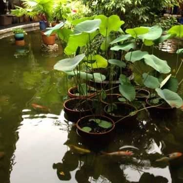 Không gian- Elip Cafe